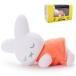  bruna miffy70thna дюймовый . дизайн .... friend flocky эмблема Miffy 