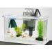  Tetra me Dakar. breeding . comfort set S aquarium aquarium tropical fish me Dakar goldfish 