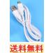 USB for JVC󥦥å ӥ  ֥// 1m USB2.0