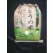 山形県庄内産　コシヒカリ　精米5kg　特別栽培米　令和1年産