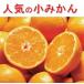  маленький шар мандарин примерно 3kg Ehime префектура запад . мир мандарин mi can Ehime мандарин маленький мандарин маленький шарик 