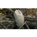 Finalmouse Ultralight 2 - Cape Town USBge-ming мышь 