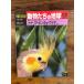  Weekly Asahi различные предметы животное ... земля 129 kana задний * gold gyo* заяц другой 