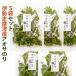  three-ply prefecture Ise city . production blue sa paste 18g×5 sack set ( sea lettuce *hitoegsa)( dry paste )( aonori seaweed ).. food 