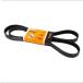 17PL4622 1820L17 Continental Poly Keilriemen -4622mm /462cm Lang -17 Rippen
