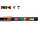 �O�H���M �|�X�J �����E�ېc PC-5M.21 ��