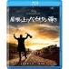  крыша. сверху. скрипка ..Blu-ray