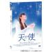  ангел стандартный * выпуск DVD