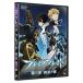  theater version break Blade third chapter . blade no traces DVD