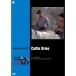 cattle * Drive DVD