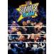 WWE summer s Ram 2010 DVD
