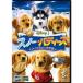  snow * Buddies маленький 5 шт. большой приключение DVD