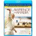  Arabia. Lawrence (Mastered in 4K) Blu-ray