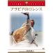  Arabia. Lawrence совершенно версия DVD