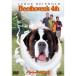  беж to- Ben 4 DVD