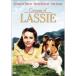  название собака lasi-/lasi-. ..DVD