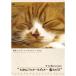  Cafe ..onDVD Tama .. печенье &amp;po ключ магия. перо 