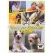 . собака Sam son&amp; Hercules. большой приключение прокат DVD