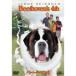  беж to- Ben 4 DVD
