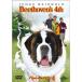  беж to- Ben 4 DVD