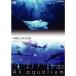 NHKDVD аквариум ~An Aquarium~ Okinawa прекрасный . море аквариум 