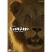 NHK специальный ... самец лев ~.. плата .9 год. регистрация ~ DVD