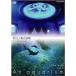 NHKDVD аквариум ~An Aquarium~ новый .no остров аквариум 