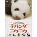 . Panda ni морской еж uDVD