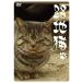 . земля кошка DVD