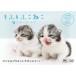 mo......~ mother z* Rav ~ DVD