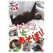 ne.( кошка ). Land extra (EX) vol.2nyanko....DVD
