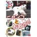 ne.( кошка ). Land extra (EX) vol.1nyanko.. прогулка DVD