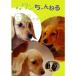  one Chan ..3tsu.. миниатюра Dux fndo( крем ) DVD