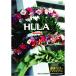 HULA auana~ Гиндза 5 chome. Гаваи DVD