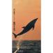 ECHOS OF SEA вода ... способ. дельфин Новая Зеландия VHS