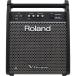  Roland ROLAND PM-100 Personal Monitor personal контрольный динамик 