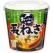 бог . один .....!! длина лук порей (22.3g) мгновенный miso .. cup 