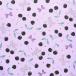 [oks] ткань Cherry bonbon прохладный Berry рисунок ширина примерно 110cm×60cm cut лиловый ручная работа non герой [01] ( всего 1100 иен и больше . покупка возможно )