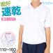�̑��� ���� �ݕt�� �n�[�t�W�b�v ���w�� �̑��� ���w�Z �� 110�`160cm ���� ������ �V���c �t�@�X�i�[ �`���b�N �W�b�v�A�b�v (��������)