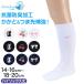�X�N�[���\�b�N�X �����|�C���g �n�C�\�b�N�X ���q �j�q �C�� 14-16cm�`18-20cm (�� �� �� �ʉ� �ʊw �\�b�N�X ���w�� �w�Z �q�� �L�b�Y ��