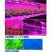 �C���~�l�[�V�������C�g 4�{ 20m RGB LED�e�[�v �N���X�}�X���C�g �N���X�}�X�c���[ �X�}�z iPhone LED�Ɩ� �u���[�g�D�[�X �����R�� �֘A�摜5