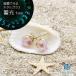 Sea drop ���� �z�^���K���X �X�^�b�h�s�A�X �z���C�g�~�s���N �~�� ���f�B�[�X �X�e�����X �����A�����M�[�Ή� �����p �S�[���h�J���[ [175et-g]