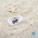 Sea drop ���� �z�^���K���X �X�^�b�h�s�A�X �p�[�v�� 6mm �~�� ���f�B�[�X �X�e�����X���� �����p �S�[���h �V���o�[ [309et]