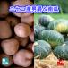  Hokkaido niseko производство мужчина .L4kg+ юг .2 шар ( примерно 3kg) Hokkaido производство картофель. бренд! осенний тест .NO1[ бесплатная доставка ]