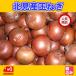  Hokkaido север видеть производство лук L большой 10kg производство количество Япония один север видеть F1 шар лук порей большой шар [ бесплатная доставка ]