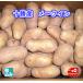  Hokkaido Tokachi производство me-k in LM 10kg Hokkaido производство картофель. бренд! осенний тест .NO1[ бесплатная доставка ]