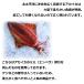 �C�J ���h 1kg �C�J�̉��h �Ì� �����̉��h �����E�C�J�̉��h1kg�E �֘A�摜4