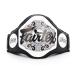 Fairtex Berry протектор BPV3 ( белый )
