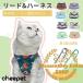  кошка шлейка с поводком есть домашнее животное одежда одежда Harness шлейка кошка прогулка Harness кошка для Lead одежда Harness шлейка .. домашнее животное Lead кошка модный оторван, отходит нет 