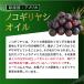 �T�v�� �T�v�������g �m�R�M�����V ��12�������@���������@�T�v���@�T�v�������g �_�C�G�b�g �֘A�摜4